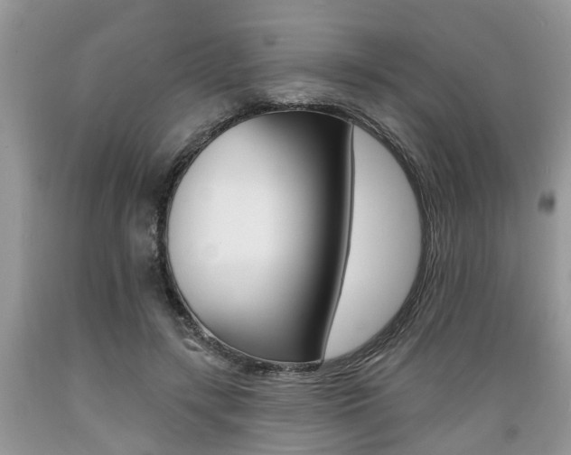 X0000089660547200706210733