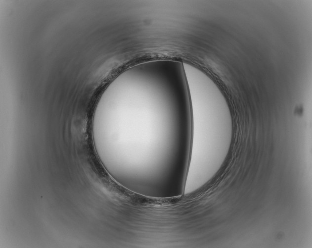 X0000089660548200706210733