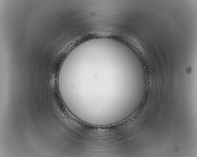 X0000089660549200706210733