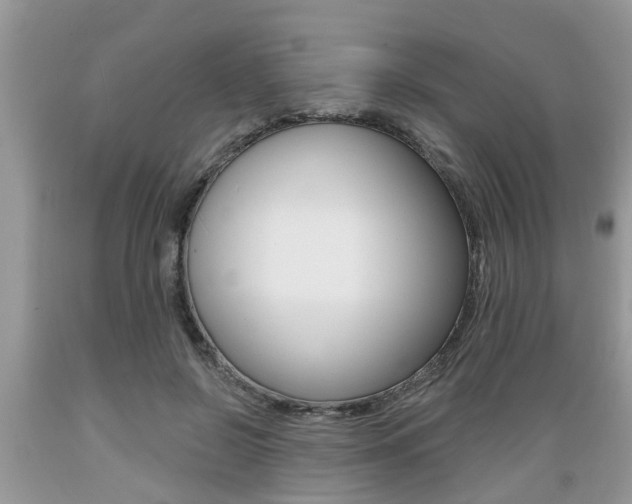X0000089660550200706210733