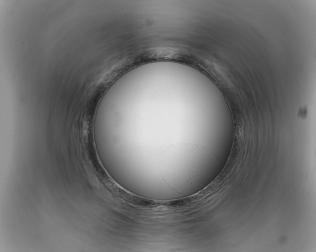 X0000089660551200706210733