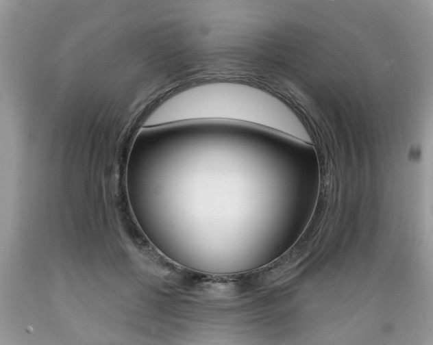 X0000089660552200706210733
