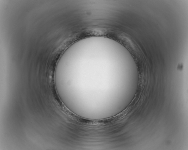X0000089660553200706210733