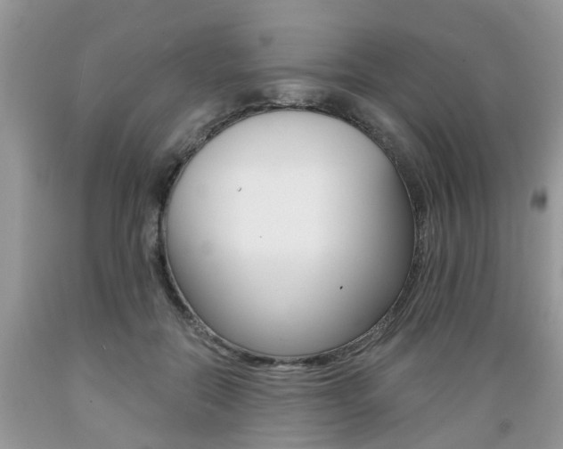 X0000089660554200706210733