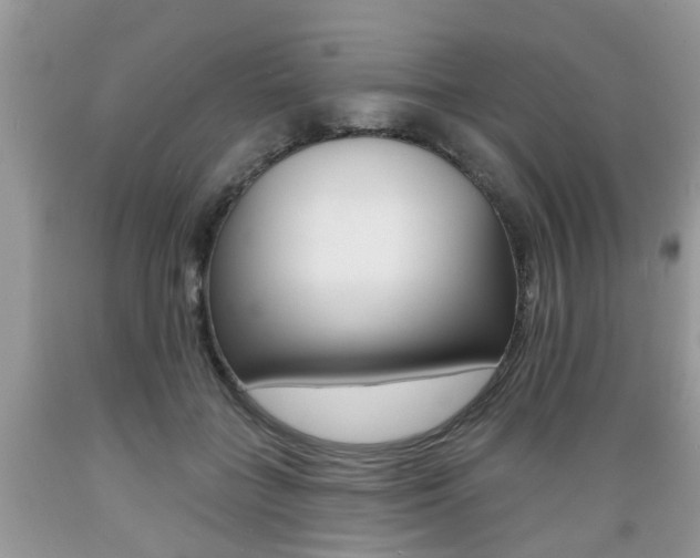 X0000089660555200706210733