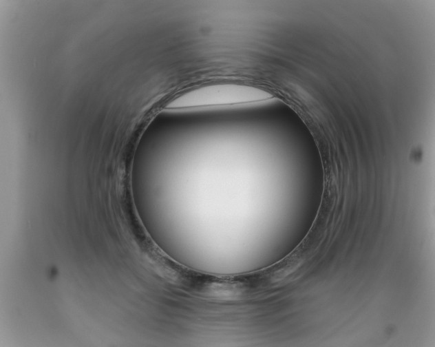 X0000089660556200706210733