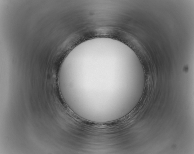 X0000089660557200706210733