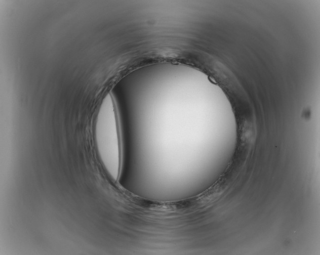 X0000089660559200706210733