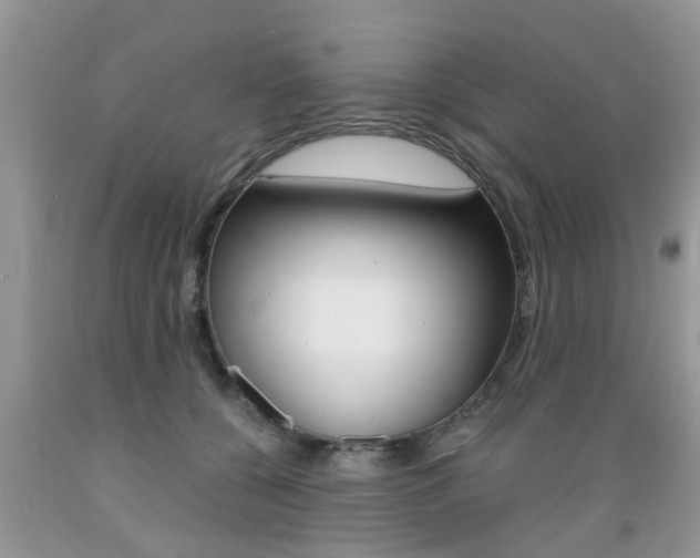 X0000089660560200706210733
