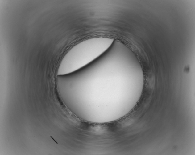 X0000089660561200706210733