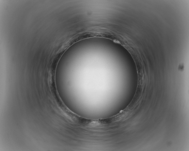 X0000089660562200706210733