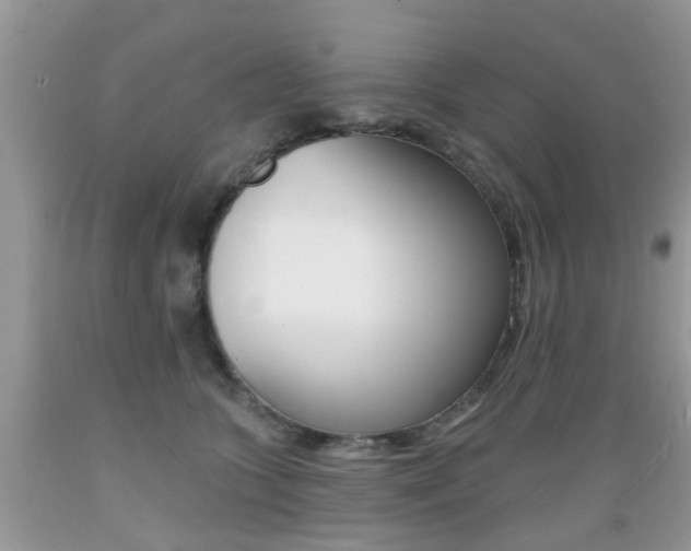 X0000089660563200706210733