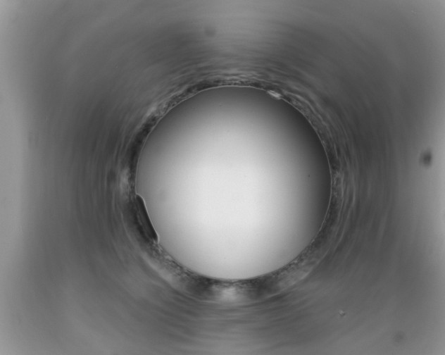 X0000089660564200706210733