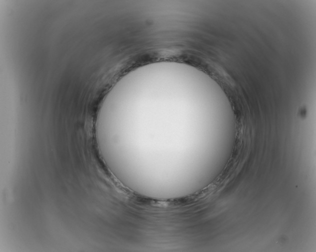 X0000089660565200706210733