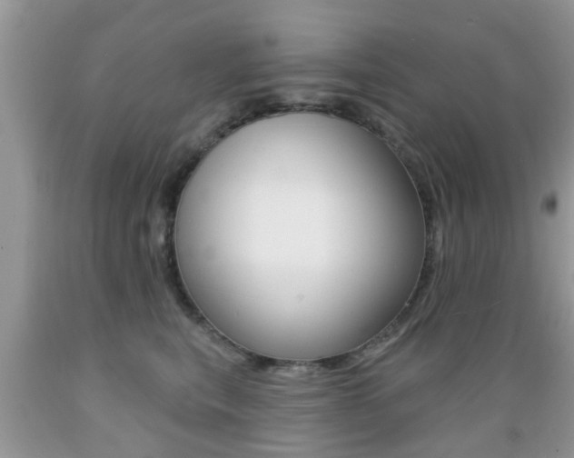 X0000089660567200706210733
