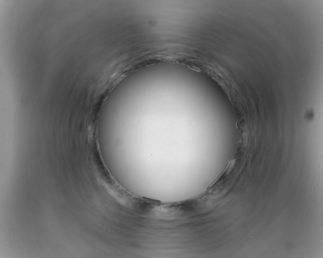 X0000089660568200706210733