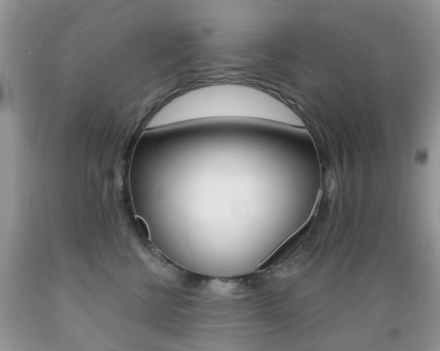 X0000089660570200706210733