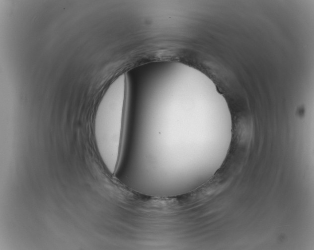 X0000089660571200706210733