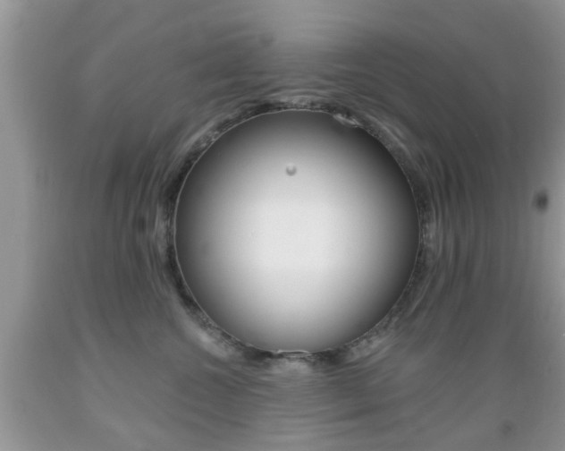 X0000089660572200706210733