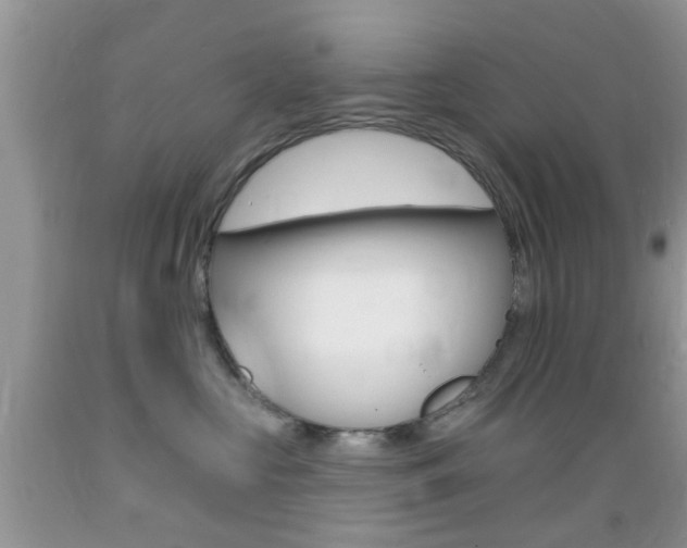 X0000089660573200706210733