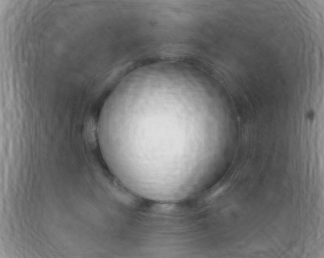 X0000089660575200706210733