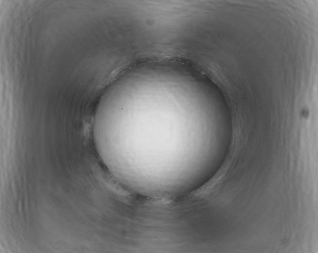 X0000089660576200706210733