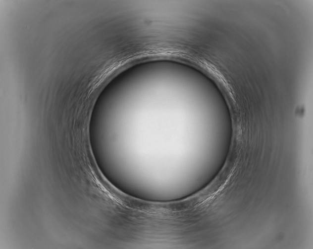 X0000089660577200706210732