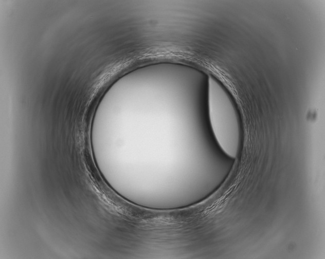 X0000089660578200706210732