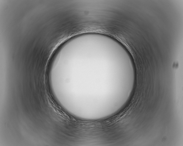 X0000089660579200706210732