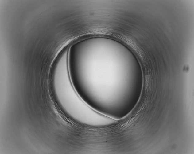 X0000089660580200706210732