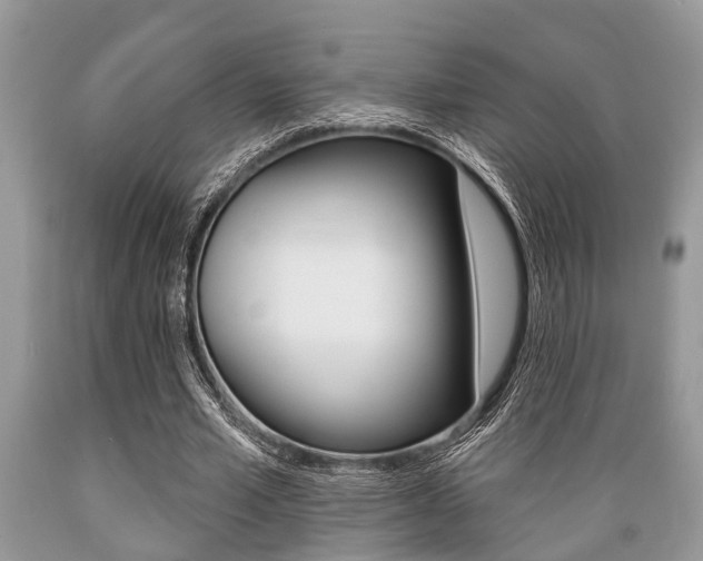 X0000089660581200706210732