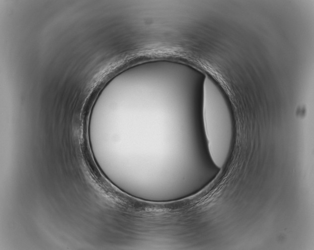 X0000089660582200706210732