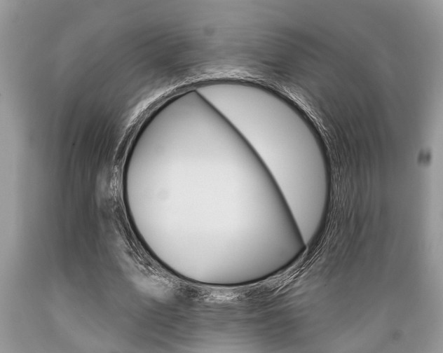 X0000089660583200706210732