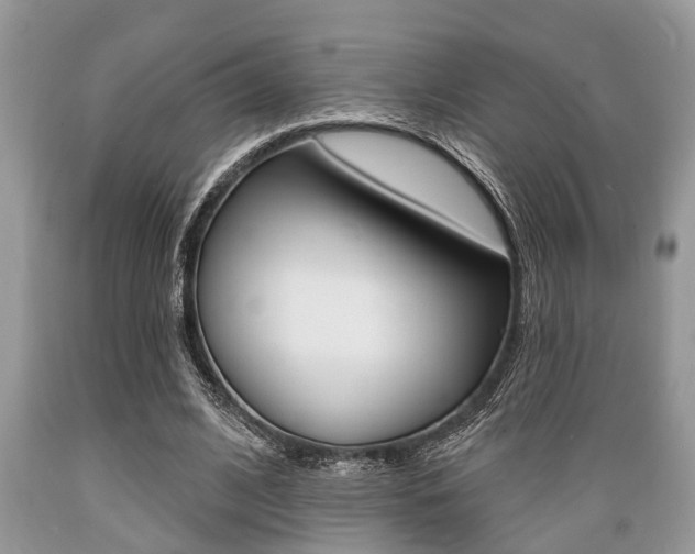 X0000089660584200706210732