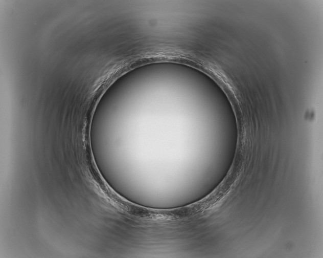 X0000089660585200706210732
