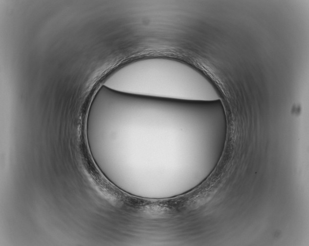 X0000089660586200706210732