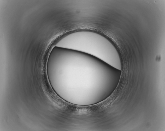 X0000089660587200706210732