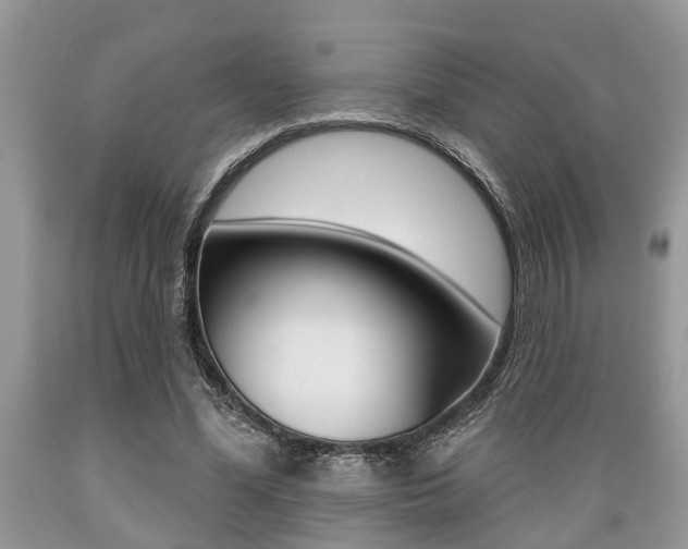 X0000089660588200706210732