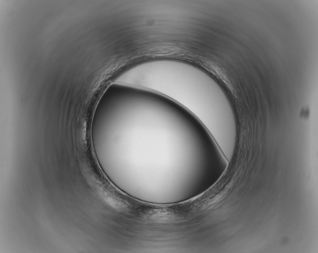 X0000089660589200706210732