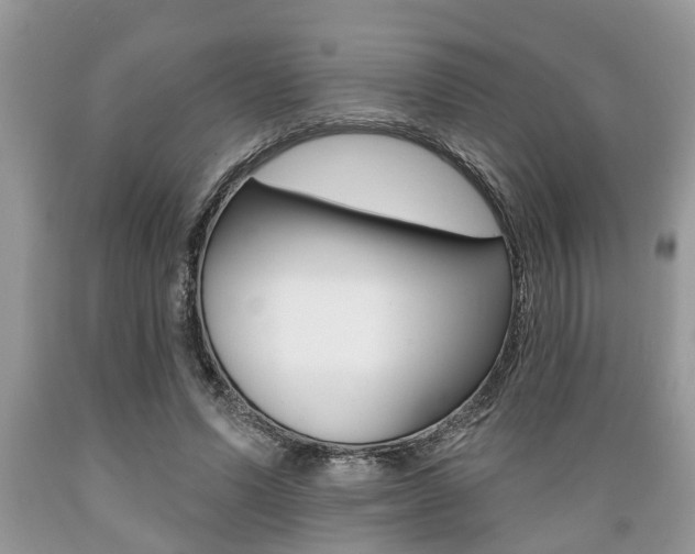 X0000089660591200706210732
