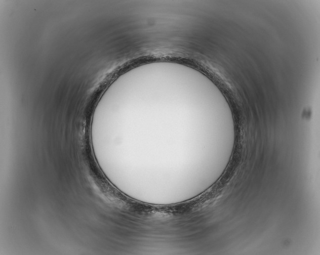 X0000089660592200706210732