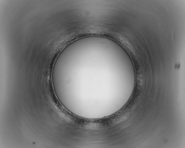 X0000089660593200706210732