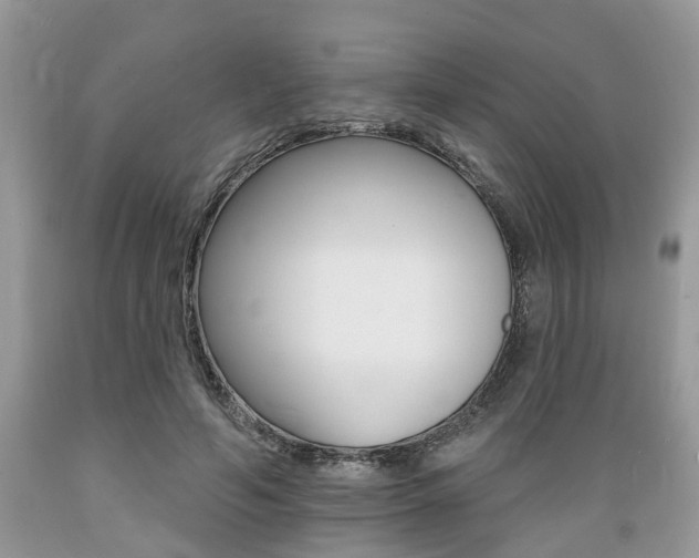 X0000089660594200706210732