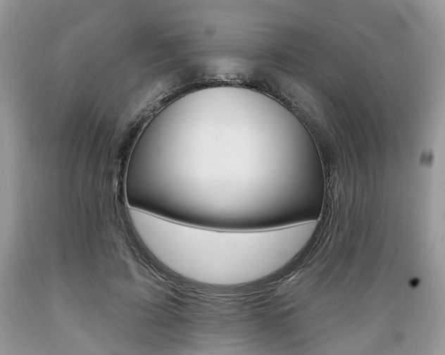 X0000089660595200706210732