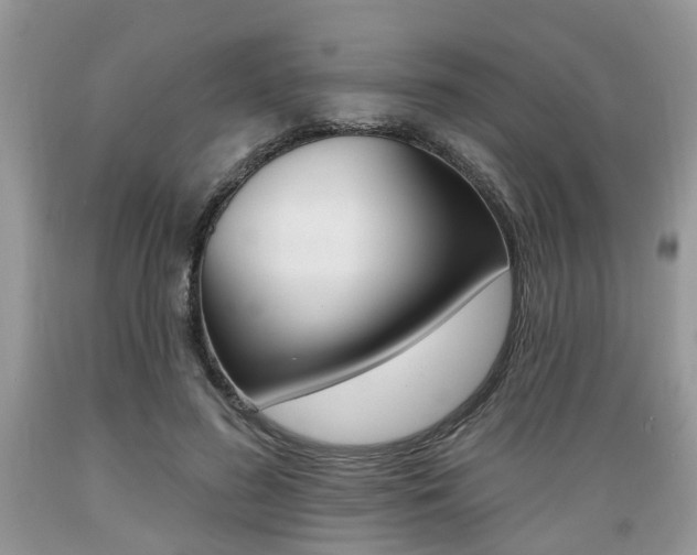 X0000089660596200706210732