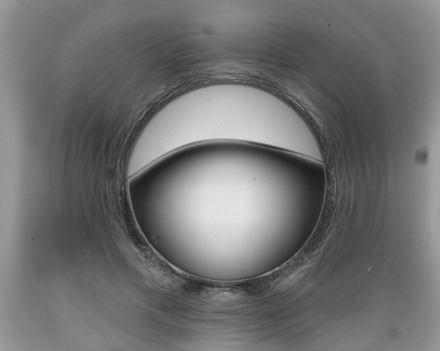 X0000089660597200706210732