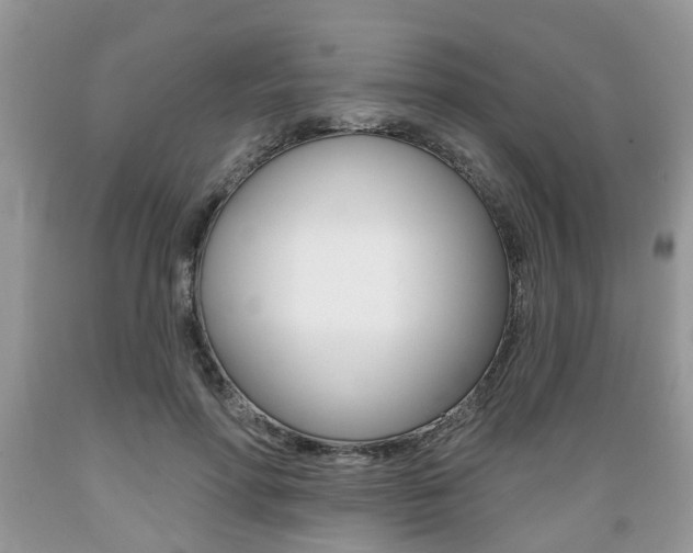 X0000089660598200706210732