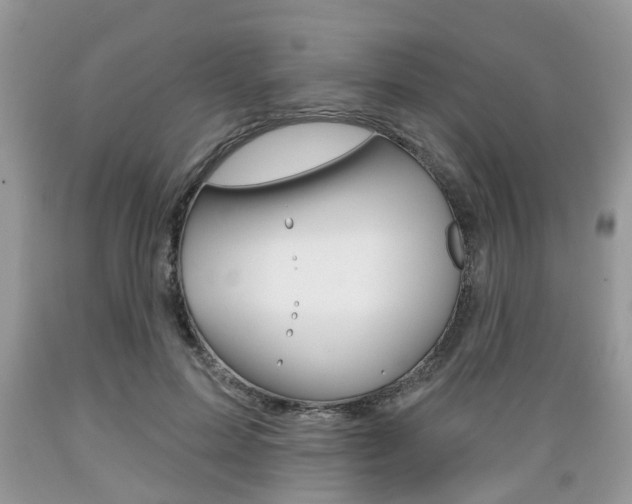 X0000089660599200706210732