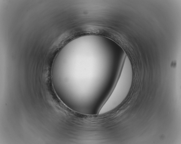 X0000089660600200706210732