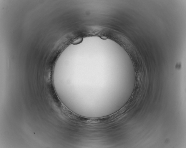 X0000089660602200706210732